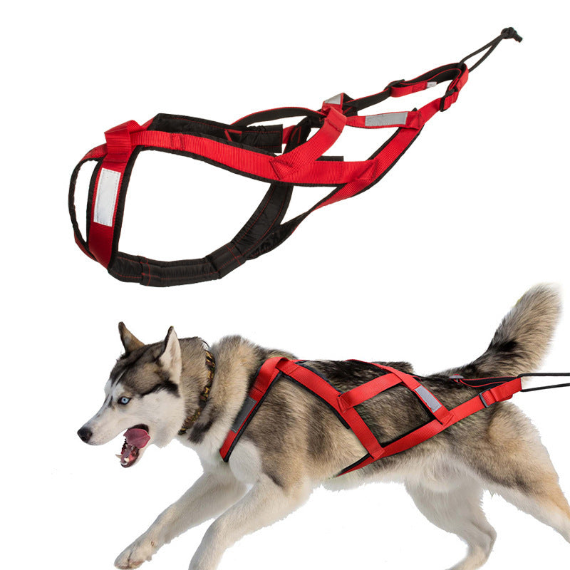 Bröstrem för hundspann utomhus