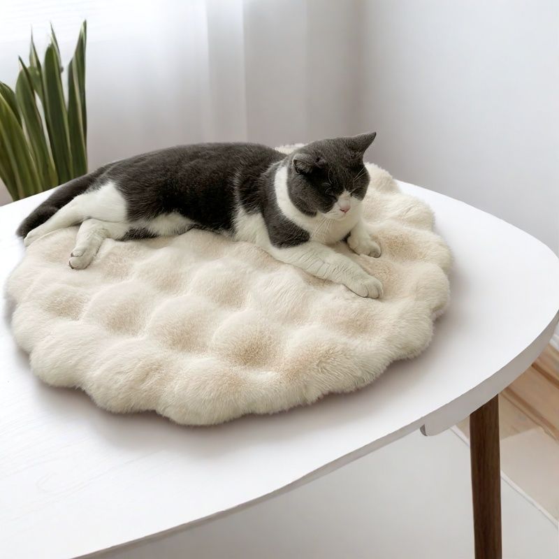 Plush Pet Pad