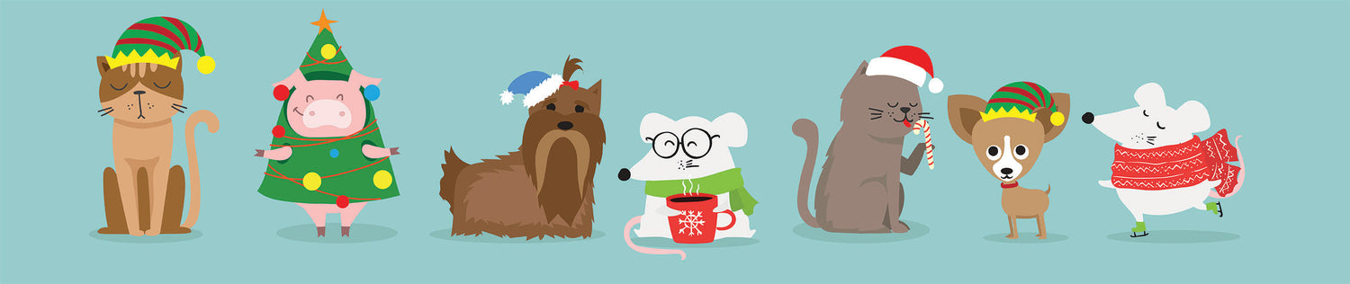 Pets Christmas Corner