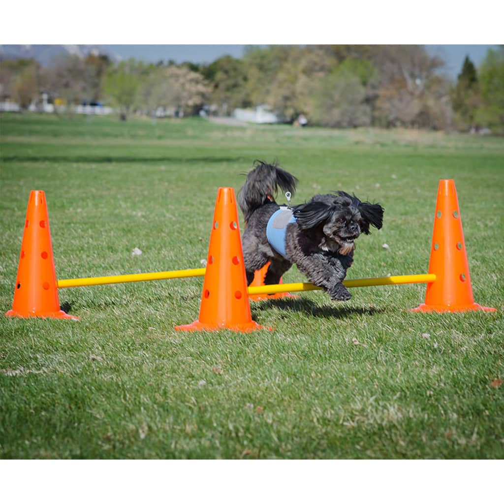 Fitpaws Estesarja