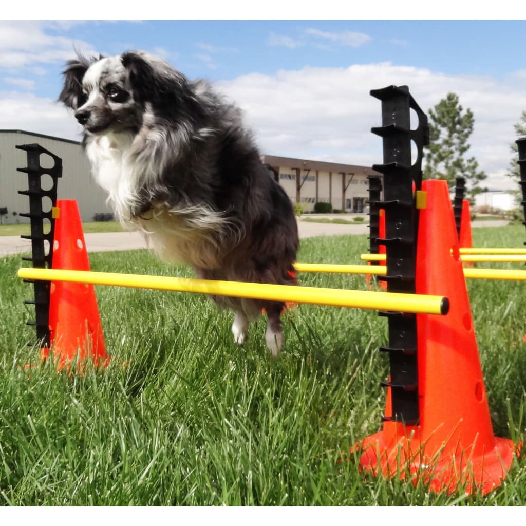Fitpaws Estesarja