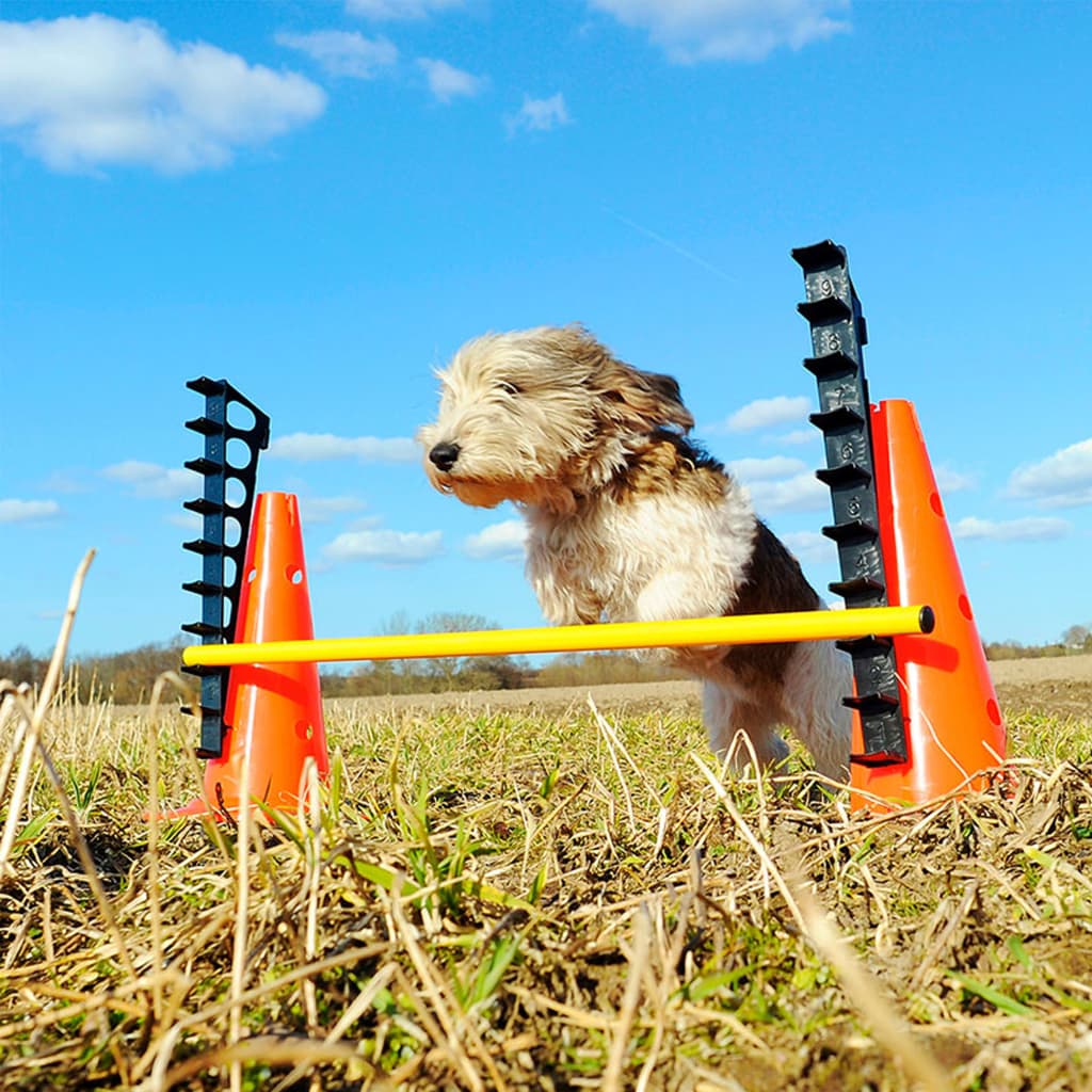 Fitpaws Estesarja