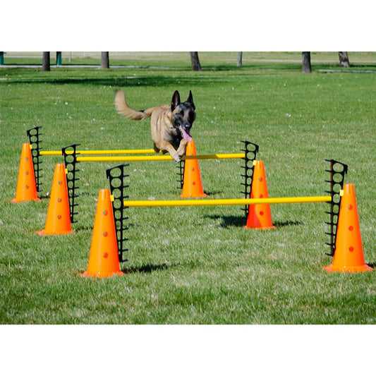 Fitpaws Estesarja