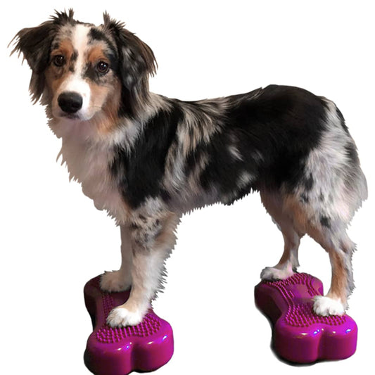 Fitpaws Lemmikin Tasapainoalusta Mini K9Fitbone 2 Kpl 29X16,5X6 Cm