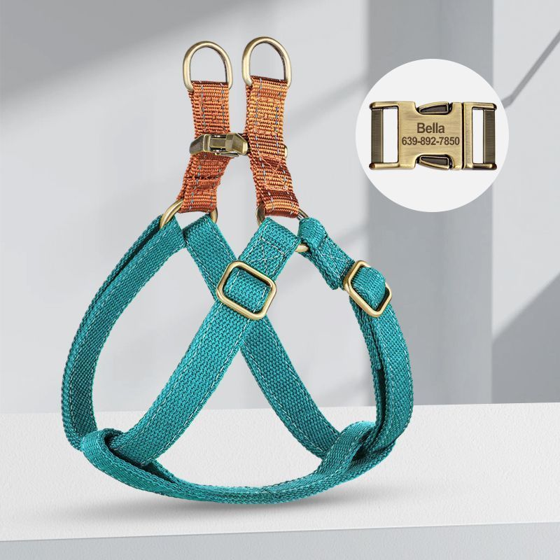 Dog Leash Vest Type Small And Medium-sized Dog