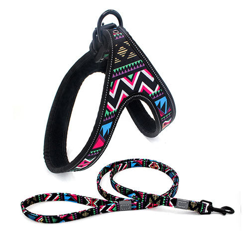 Colorful Pet Leash & Harness