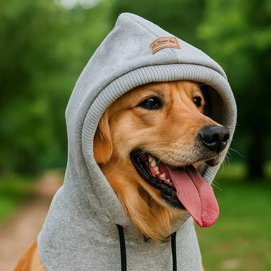 Doggy Casual Noise-Blocking Earflap Hat