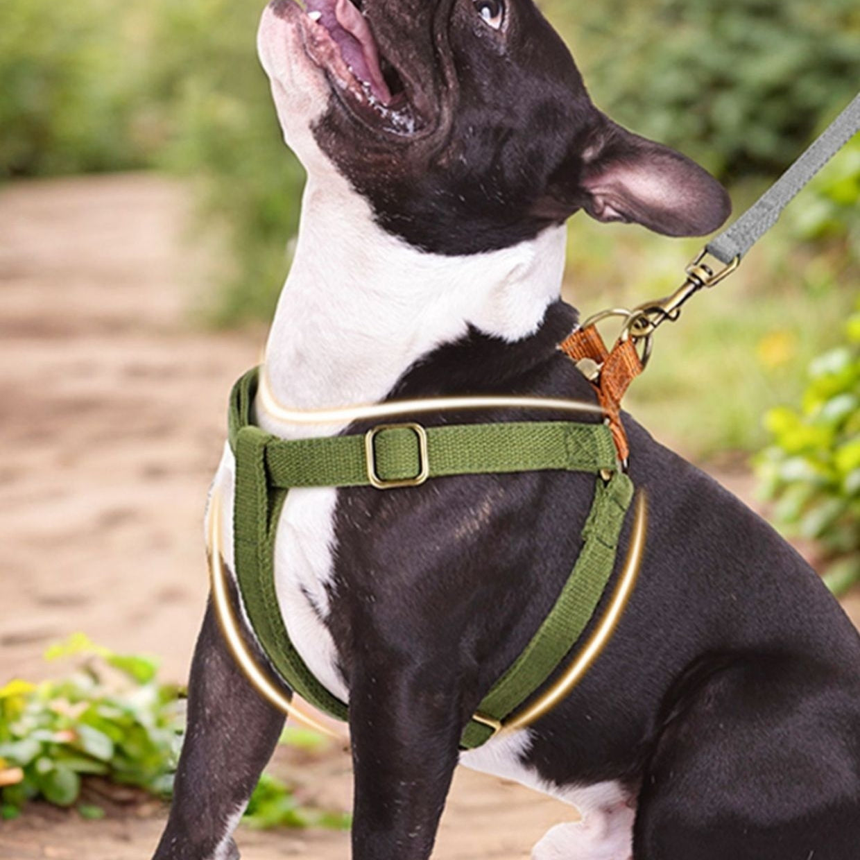 Dog Leash Vest Type Small And Medium-sized Dog