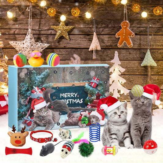 Cat Advent Calendar  Christmas Countdown